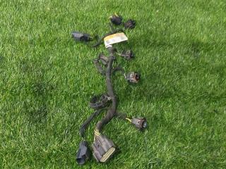 проводка катушек Ford Mustang 6 поколение S550 [рестайлинг] 2019, 2.3 л., бензин, АКПП, купе, FU5T-14B485-CC