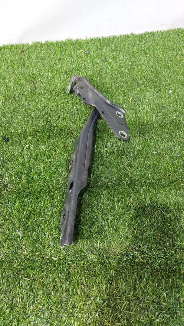 петля капота левая RAM 1500 5 поколение 2019, 5.7 л., бензин, АКПП, пикап, полный привод - фото №1