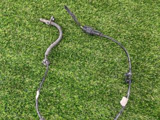 датчик ABS Ford Mustang 6 поколение S550 [рестайлинг] 2020, 2.3 л., бензин, АКПП, серый, купе, задний привод, FR3C-2C205-AC