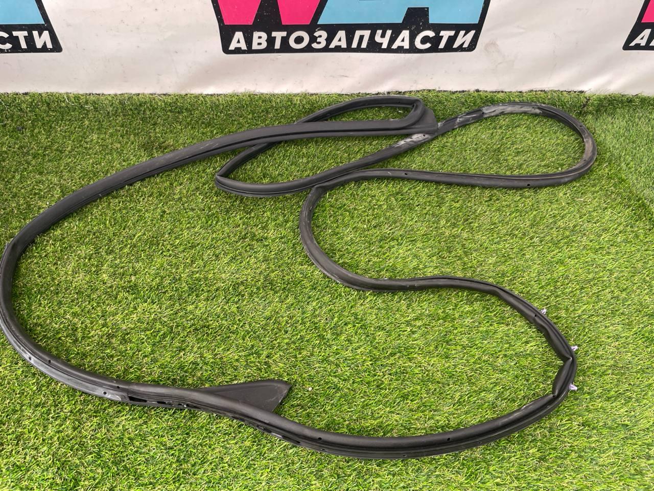 уплотнитель двери RAM 1500 5 поколение 2019, 5.7 л., бензин, АКПП, пикап, полный привод - фото №1