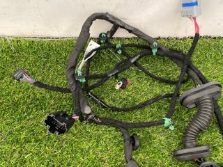 дверная проводка Tesla Model S 1 поколение [2-й рестайлинг] 2022, электро, лифтбэк, 248639900C