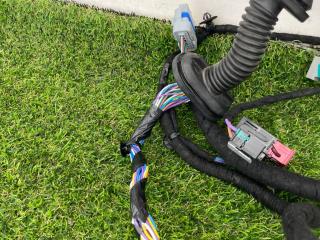 дверная проводка Tesla Model S 1 поколение [2-й рестайлинг] 2022, электро, лифтбэк, 248639800C