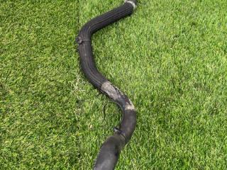 патрубок радиатора Ford Escape 4 поколение CX482 2020, 1.5 л., бензин, АКПП, синий, внедорожник 5 дв., полный привод