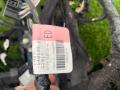 проводка салона Ford Mustang 7 поколение S650 2024, 2.3 л., бензин, АКПП, черный, купе, задний привод - фото №7
