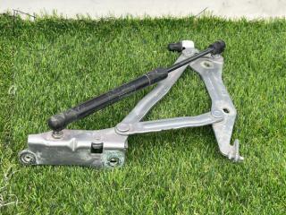 петля крышки багажника Ford Mustang 6 поколение S550 [рестайлинг] 2020, 2.3 л., бензин, АКПП, серый, купе, задний привод, FR3B-6342701-AD