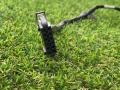 зеркало наружное правое Volkswagen Jetta 6 поколение 2014, 1.4 л., бензин, МКПП, седан, передний привод - фото №2