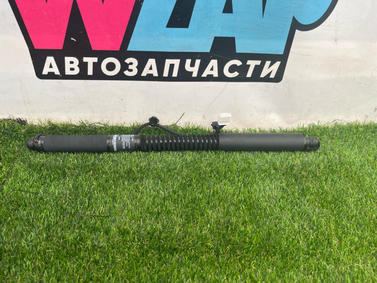 амортизатор двери задней Tesla Model X 1 поколение 2018, электро, хетчбэк 5 дв., 1063440-01-D - фото №1