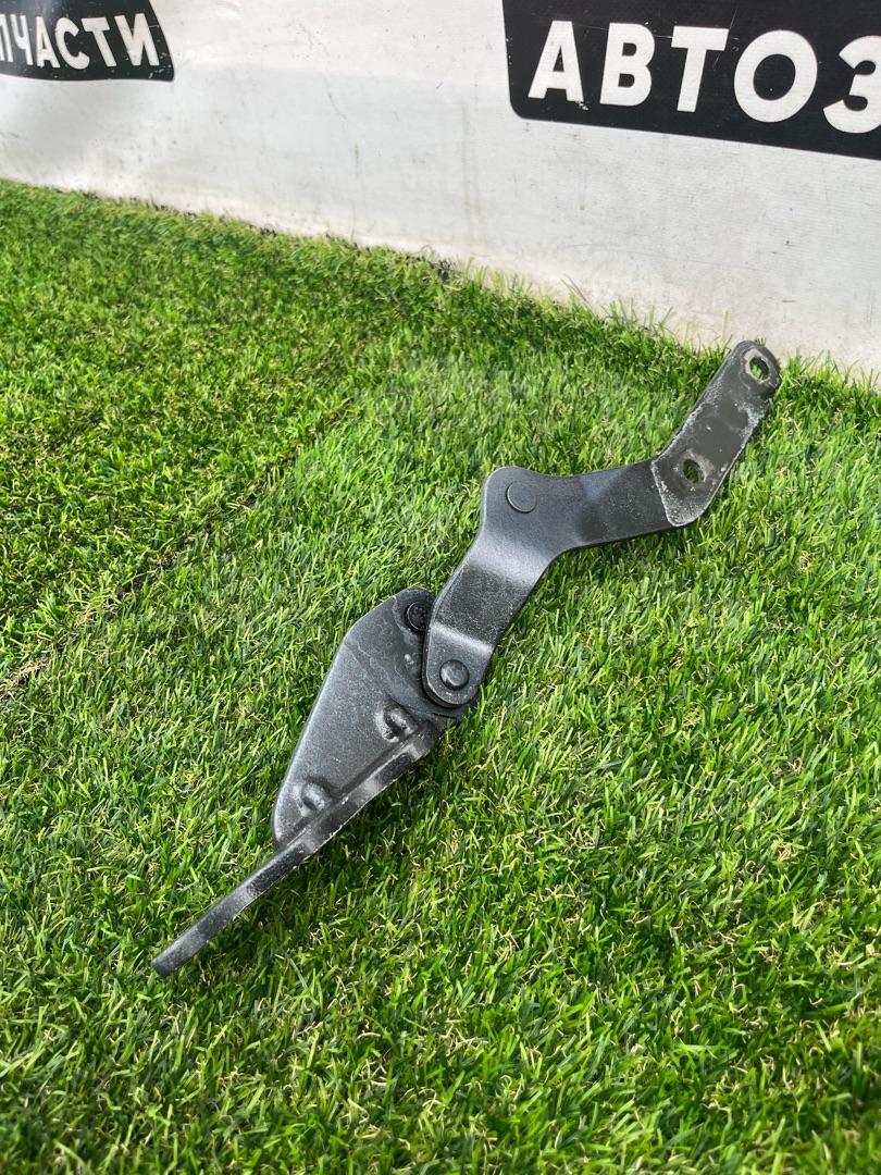 петля двери Tesla Model X 1 поколение 2018, электро, хетчбэк 5 дв. - фото №1