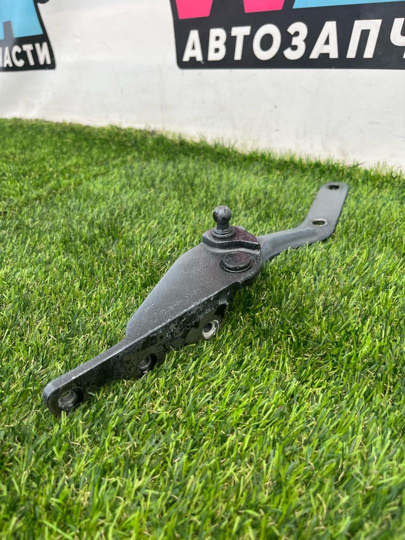 петля двери Tesla Model X 1 поколение 2018, электро, хетчбэк 5 дв. - фото №1