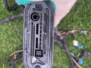 дверная проводка BMW 5 серия F10/F11 [рестайлинг] F10 2014, 3.0 л., N55 B30 A, бензин, АКПП, седан, 4811913