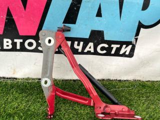 петля крышки багажника Ford Mustang 6 поколение S550 [рестайлинг] 2017, 2.3 л., бензин, АКПП, купе, задний привод, FR3B-6342701-AD