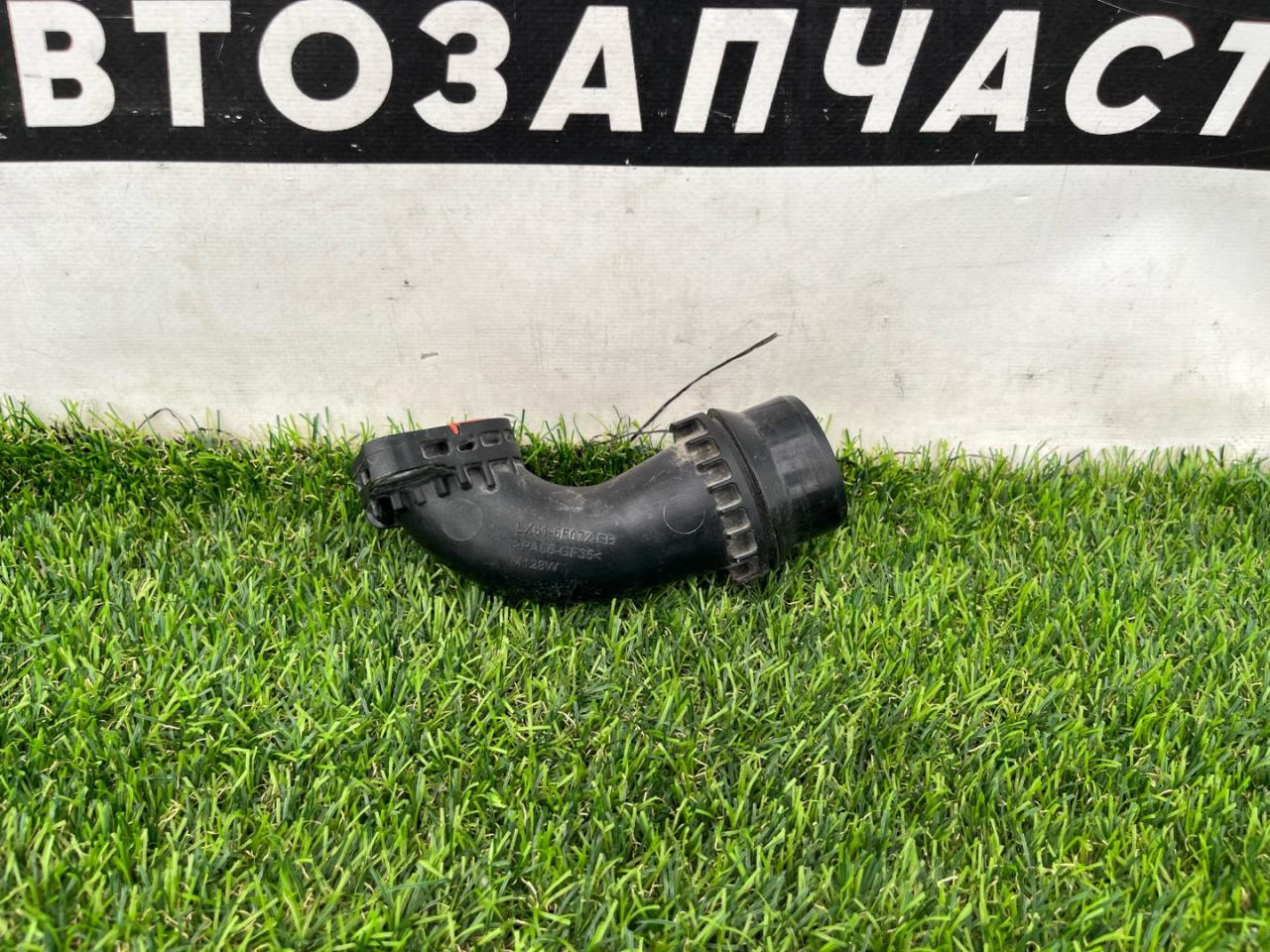 патрубок (трубопровод, шланг) Ford Escape 4 поколение CX482 2020, 1.5 л., бензин, АКПП, синий, внедорожник 5 дв., полный привод, LX61-6F072-EB - фото №1