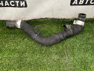 патрубок радиатора Ford Explorer 6 поколение U625 2020, 2.3 л., бензин, АКПП, внедорожник 5 дв., L1M3-8B273-AAE