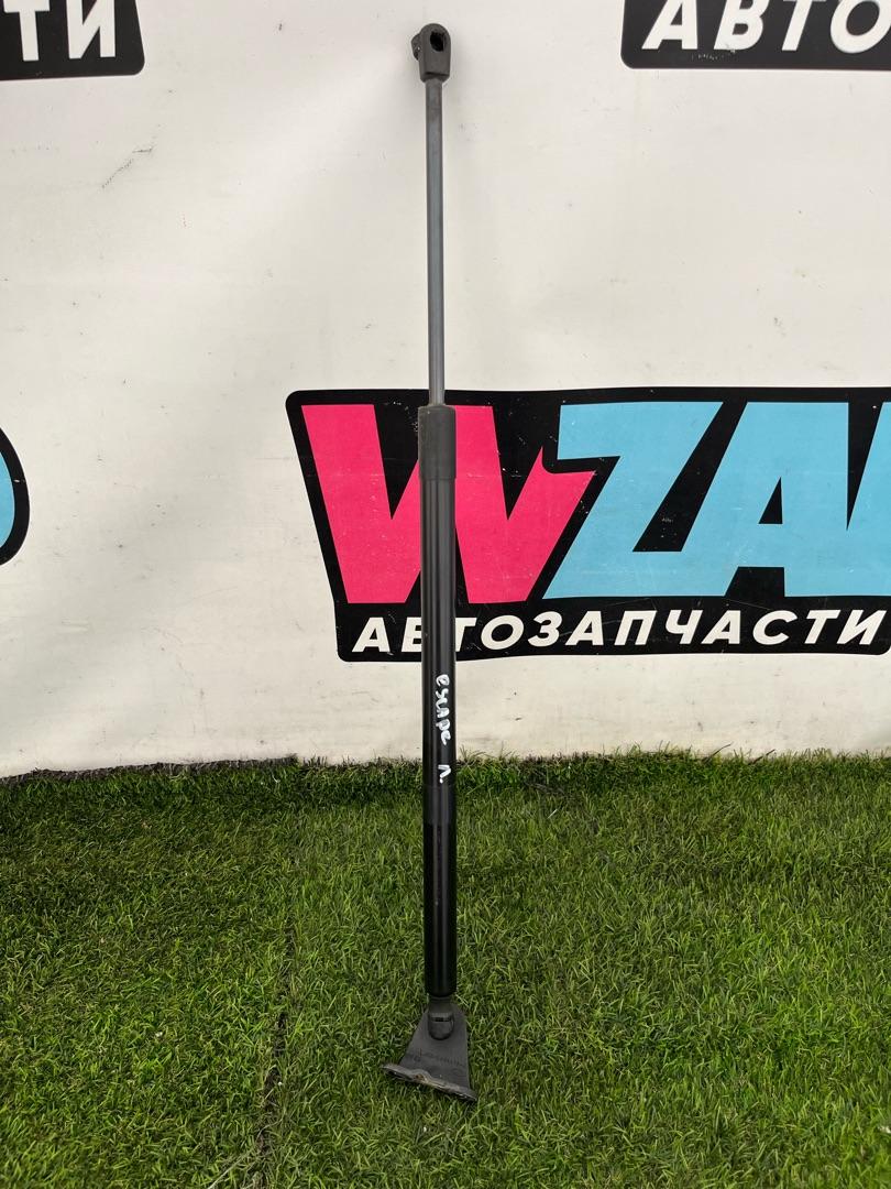 амортизатор крышки багажника (3-5 двери) Ford Escape 4 поколение CX482 2020, 1.5 л., бензин, АКПП, синий, внедорожник 5 дв., полный привод, LJ6B-S444A19-A - фото №1