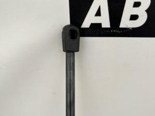 амортизатор крышки багажника (3-5 двери) Ford Escape 4 поколение CX482 2020, 1.5 л., бензин, АКПП, синий, внедорожник 5 дв., полный привод, LJ6B-S444A18-A