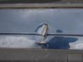 бампер задний Volvo S80 1 поколение 2001, 2.4 л., B 5244 S, бензин, МКПП, синий, седан, 9154852 - фото №4