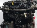 двигатель Ford Mondeo 3 поколение [рестайлинг] 2006, 2.0 л., N7BA, дизель, 6МКПП, седан, N7BA6M56618, N7BA - фото №6