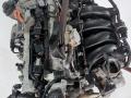 двигатель Audi A3 8P 2004, 1.6 л., BLP, бензин, 6МКПП, хетчбэк 5 дв., BLP - фото №4