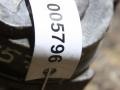 натяжитель Mercedes-Benz Vario W670 (1996 - 2013), 4.2 л., дизель, A9062002070 - фото №4