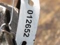 ТНВД IVECO Daily 4 поколение (2006 - 2011), 3.0 л., дизель, 0445010098 - фото №4