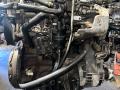 двигатель Alfa Romeo 156 1 поколение [рестайлинг] 2003, 1.9 л., 192 A5.000, дизель, МКПП, 192A5000 - фото №5
