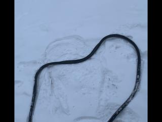 уплотнитель Tesla Model S 1 поколение 2014, электро, лифтбэк