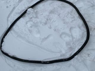 уплотнитель двери Buick Encore GX 1 поколение 2020, 1.2 л., бензин, АКПП, серый