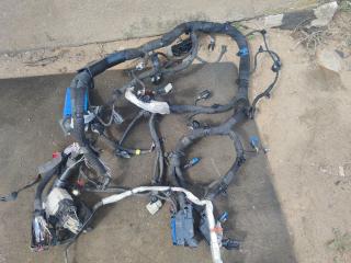 проводка двигателя Buick Encore GX 1 поколение 2020, 1.3 л., бензин, вариатор, внедорожник 5 дв., 42749491