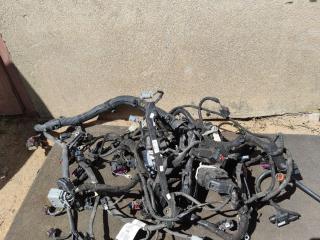 проводка двигателя Chevrolet Cruze 2 поколение 2018, 1.4 л., бензин, АКПП, серебристо голубой, седан, 42558600