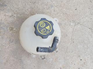 бачок расширительный Buick Regal 6 поколение 2018, 2.0 л., бензин, лифтбэк