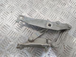 петля капота Renault Scenic 2 поколение 2005, 81662-F
