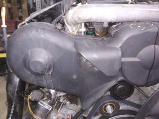 защита (кожух) ремня ГРМ Audi A6 4B/C5 1998, 2.5 л., дизель, АКПП