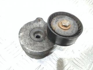 натяжитель Opel Corsa D 2008, 55562245