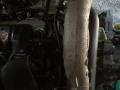 гофра инжектора Renault Megane 3 поколение 2010, 1.9 л., дизель, МКПП, 8200781521 - фото №2