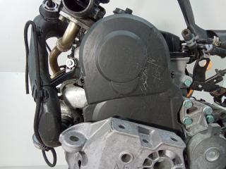 защита (кожух) ремня ГРМ Volkswagen Golf 4 поколение 2003, 1.9 л., дизель, МКПП