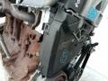 защита (кожух) ремня ГРМ Renault Modus 1 поколение 2005, 1.5 л., дизель, МКПП - фото №2
