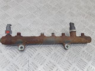 топливная рампа Renault Trafic 2 поколение 2005, 1.9 л., дизель, МКПП, 0445214065