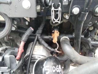 трубка охлаждающей жидкости Renault Modus 1 поколение 2005, 1.5 л., дизель, МКПП