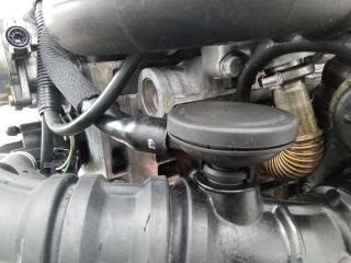 маслоотделитель (сапун) Renault Modus 1 поколение 2005, 1.5 л., дизель, МКПП