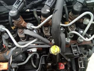 топливная рампа Renault Clio 3 поколение 2009, 1.5 л., дизель, 8200815617