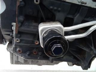 теплообменник масляного фильтра Volkswagen Golf 4 поколение 2003, 1.6 л., бензин, МКПП