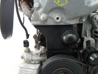 защита (кожух) ремня ГРМ Renault Clio 3 поколение 2009, 1.2 л., бензин, МКПП