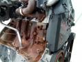 защита (кожух) ремня ГРМ Renault Clio 3 поколение 2007, 1.5 л., дизель, МКПП - фото №2