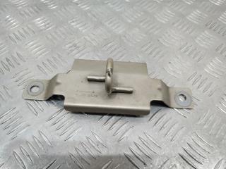 петля капота Renault Scenic 3 поколение 2010, 656200015R