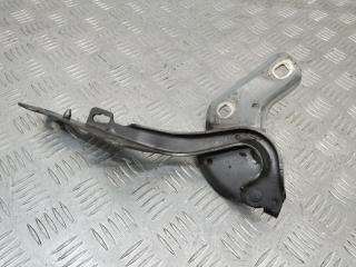петля капота левая Renault Clio 3 поколение 2008, 719033