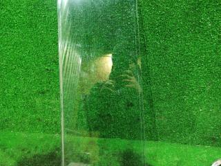 стекло двери передней левой DAF XF 95 1 поколение 2004, 12.6 л., XE 355 C, дизель, МКПП, белый, грузовик, 1284622