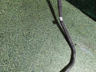 Трубка компрессора DAF XF 105 1 поколение 2010, 12.9 л., MX 300, дизель, МКПП, 1909791