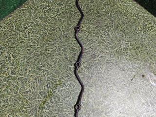 трубка топливная Mercedes-Benz Axor 1 поколение [рестайлинг] 2004, 12.0 л., OM 457.910, дизель, МКПП, 4572000558