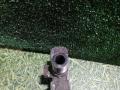 распределитель тормозных усилий MAN TGA 1 поколение 2005, 12.8 л., D 2876 LF 12, дизель, МКПП, 5232820270 - фото №6