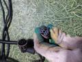 проводка двигателя MAN TGA 1 поколение 2007, 10.5 л., D 2066 LF 31, дизель, АКПП, 81254246242 - фото №7